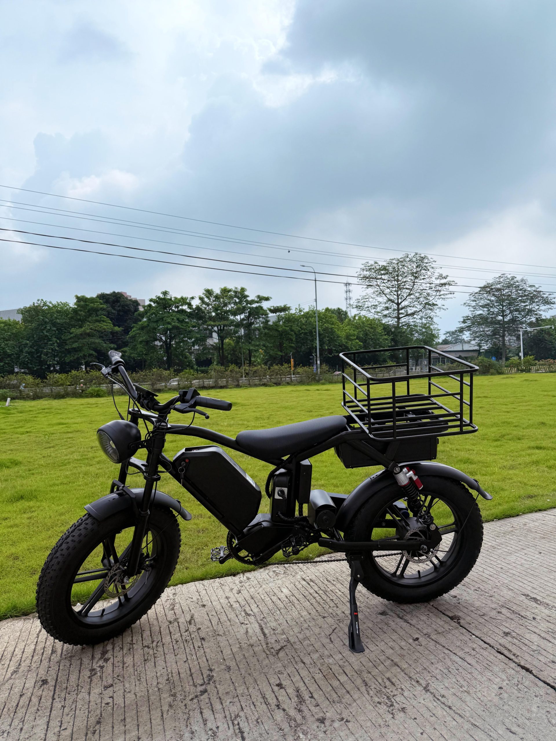 Electric Cargo Bike – Heavy Duty Commercial E-Bike - Image 6